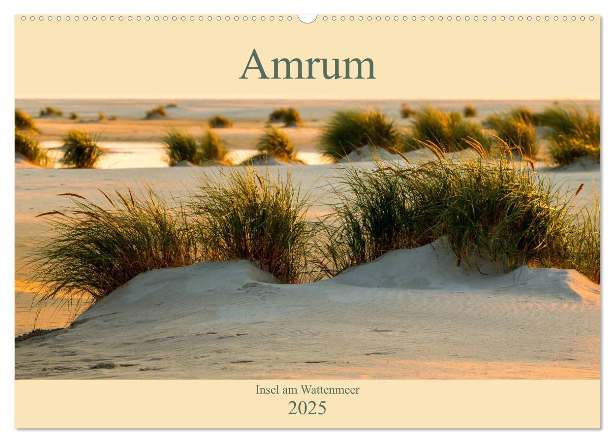 Cover: 9783435271009 | Amrum Insel am Wattenmeer (Wandkalender 2025 DIN A2 quer), CALVENDO...