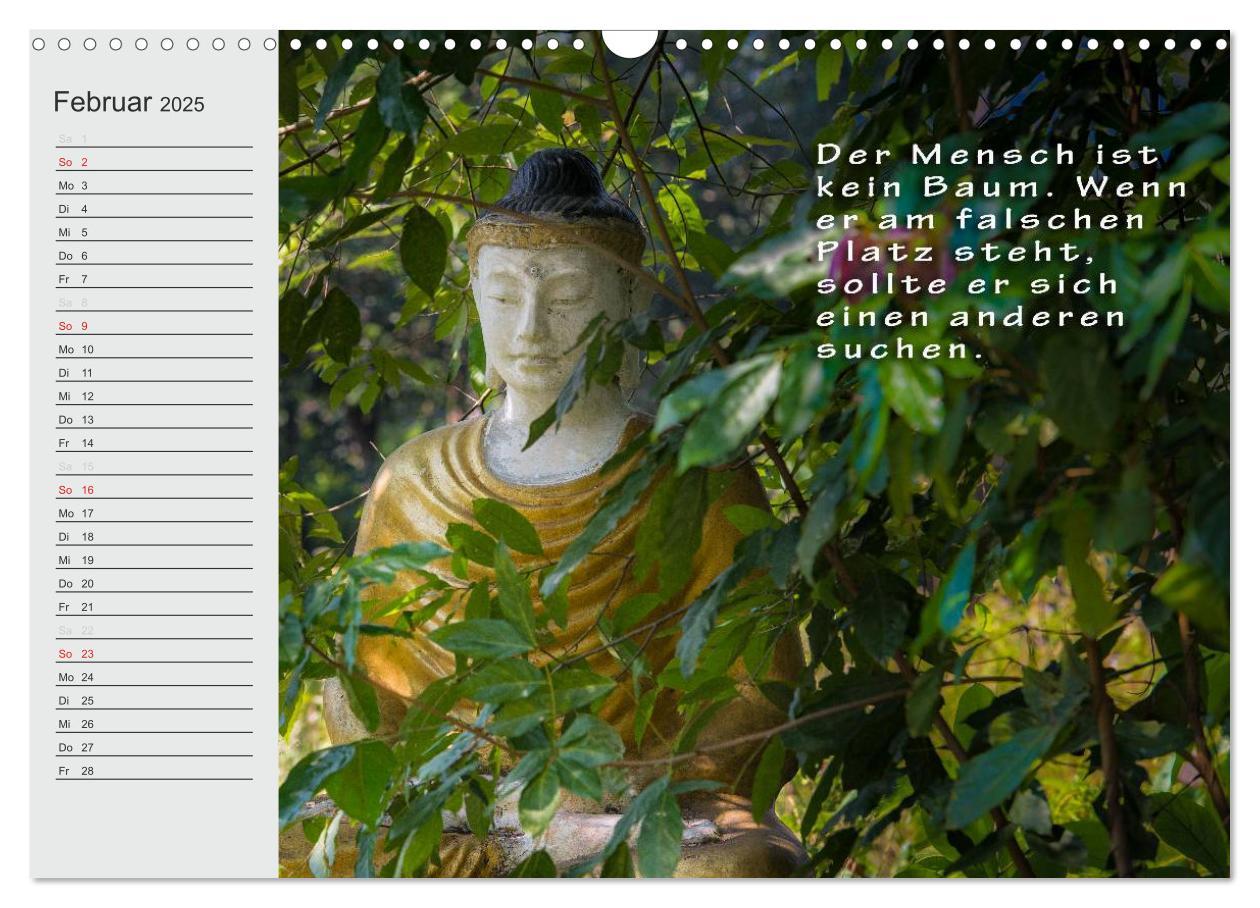 Bild: 9783435550944 | BUDDHA Buddhistische Weisheiten (Wandkalender 2025 DIN A3 quer),...