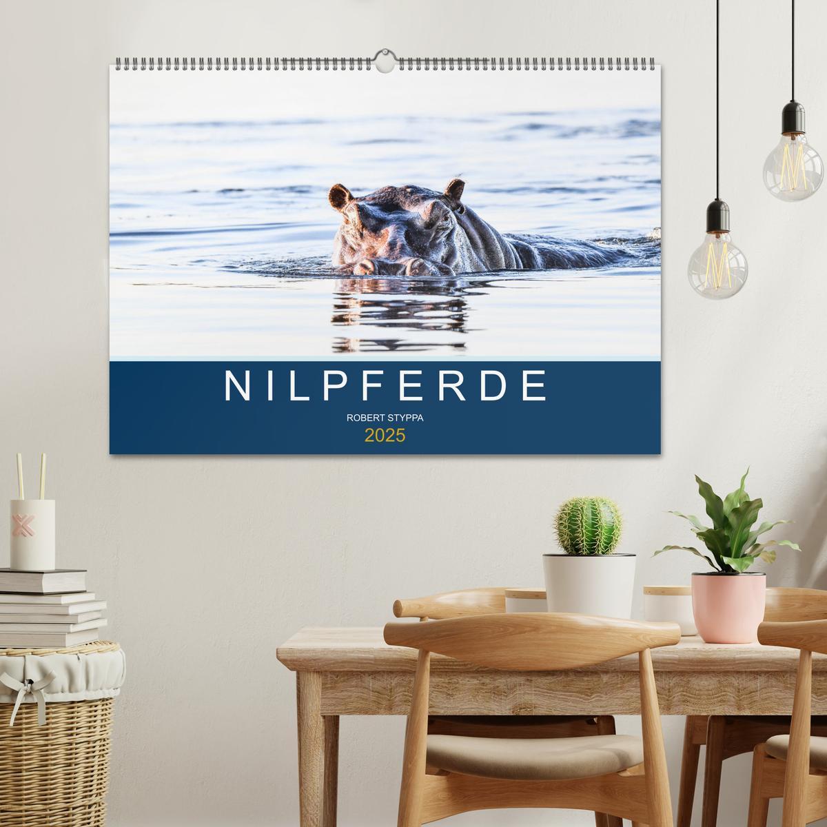 Bild: 9783435021130 | Nilpferde, Kolosse in Afrika (Wandkalender 2025 DIN A2 quer),...