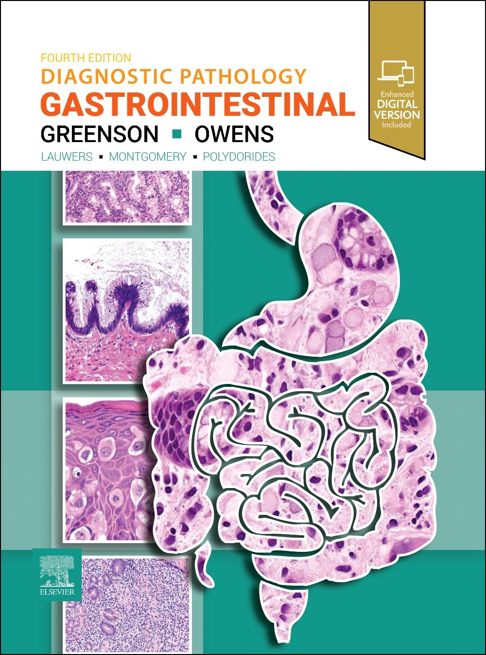 Cover: 9780443287336 | Diagnostic Pathology: Gastrointestinal | Joel K Greenson (u. a.)