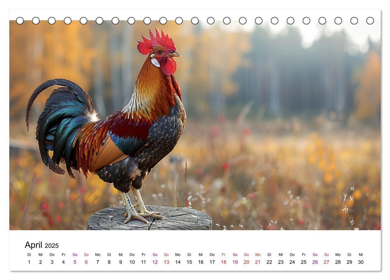 Bild: 9783457174951 | Hühner Federvieh (Tischkalender 2025 DIN A5 quer), CALVENDO...