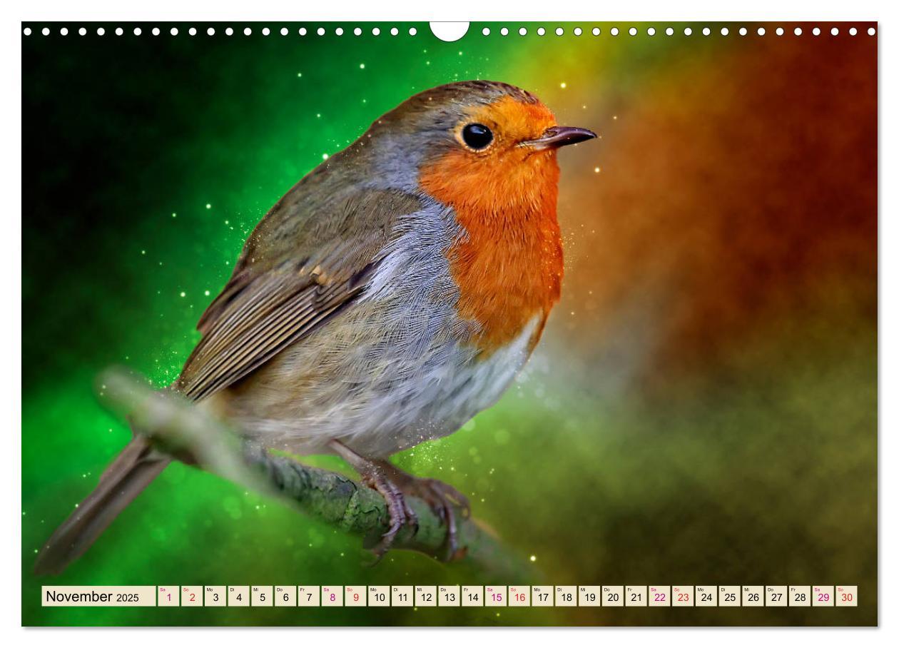 Bild: 9783435333646 | Bei uns im Garten - Rotkehlchen (Wandkalender 2025 DIN A3 quer),...