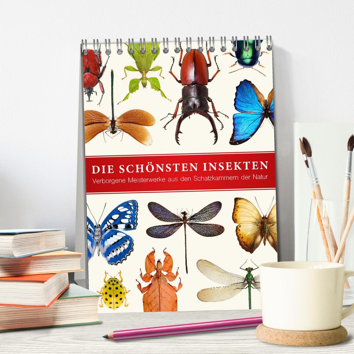 Bild: 9783435980390 | Die schönsten Insekten (Tischkalender 2025 DIN A5 hoch), CALVENDO...