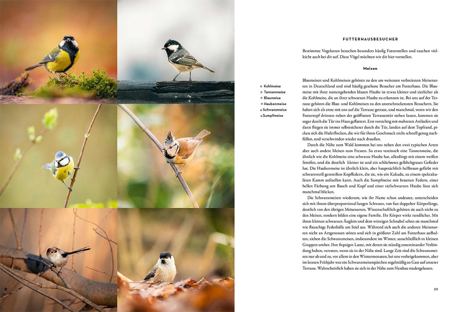 Bild: 9783440178768 | Moments in Nature | Gamander López (u. a.) | Buch | 240 S. | Deutsch