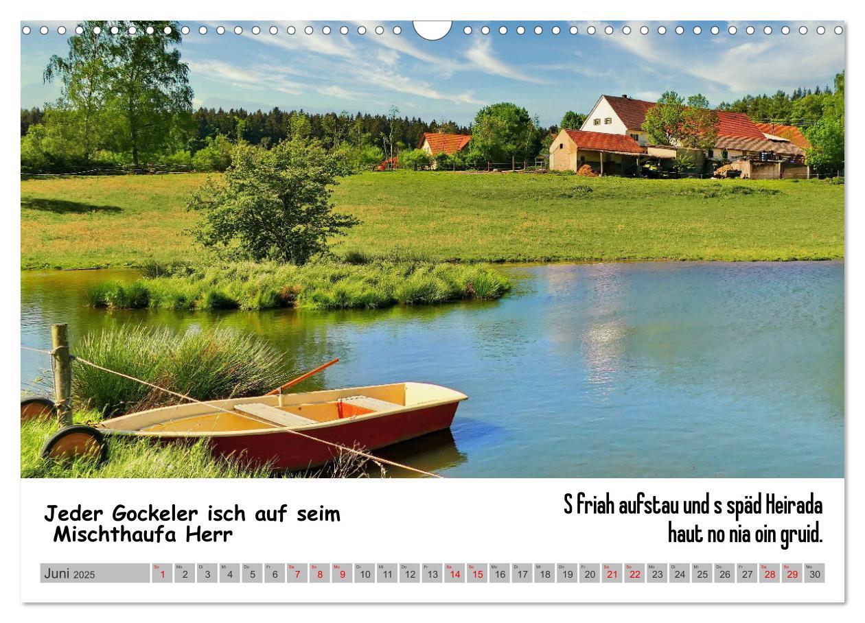 Bild: 9783383868900 | Schwäbische Sprichwörter 1 Wi ma hald so said! (Wandkalender 2025...