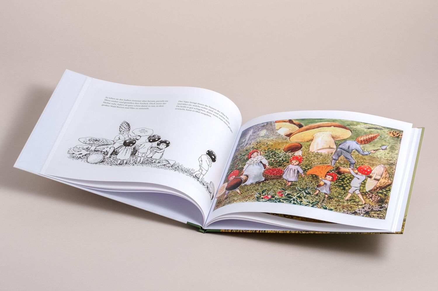 Bild: 9783730613597 | Die Wichtelkinder | Elsa Beskow | Buch | 32 S. | Deutsch | 2024