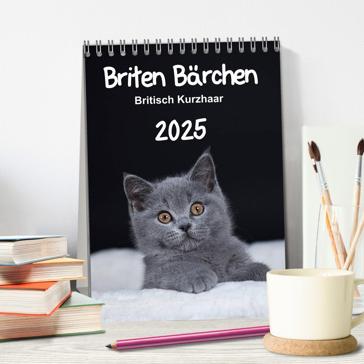 Bild: 9783457038659 | Briten Bärchen ¿ Britisch Kurzhaar 2025 (Tischkalender 2025 DIN A5...