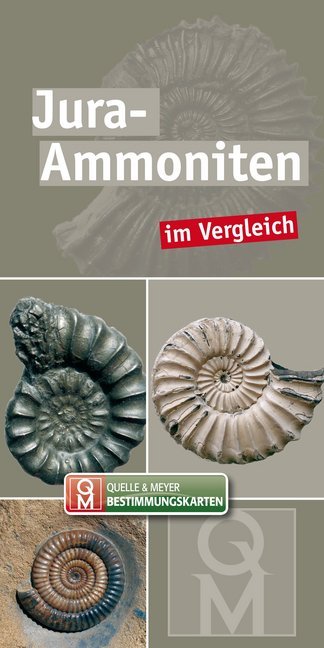 Cover: 9783494017976 | Jura-Ammoniten im Vergleich | Box | Gefalzt | 12 S. | Deutsch | 2020