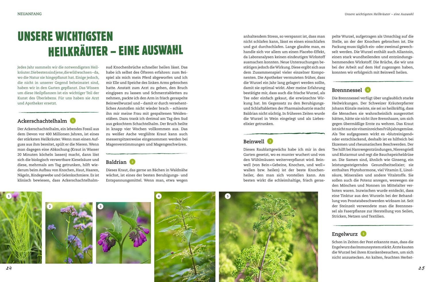 Bild: 9783833858949 | Der Selbstversorger: Mein Gartenwissen | Wolf-Dieter Storl | Buch