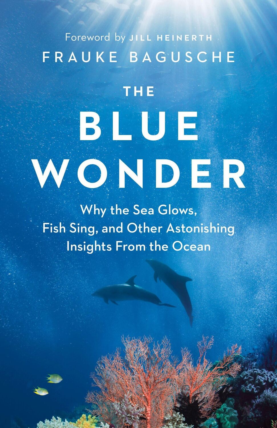 Cover: 9781771646048 | The Blue Wonder | Frauke Bagusche | Buch | Gebunden | Englisch | 2021