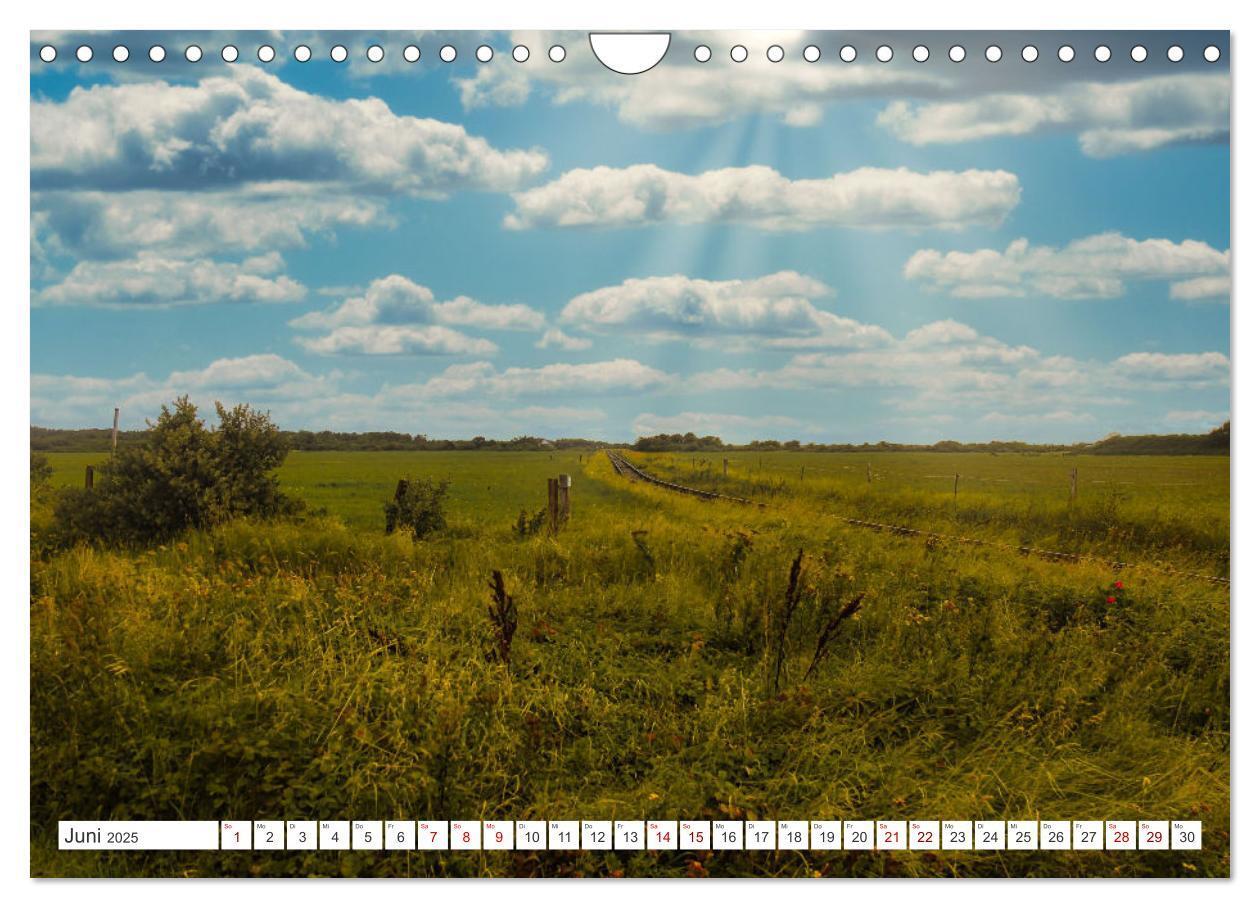 Bild: 9783383922930 | Langeoog - Perle der Natur (Wandkalender 2025 DIN A4 quer),...