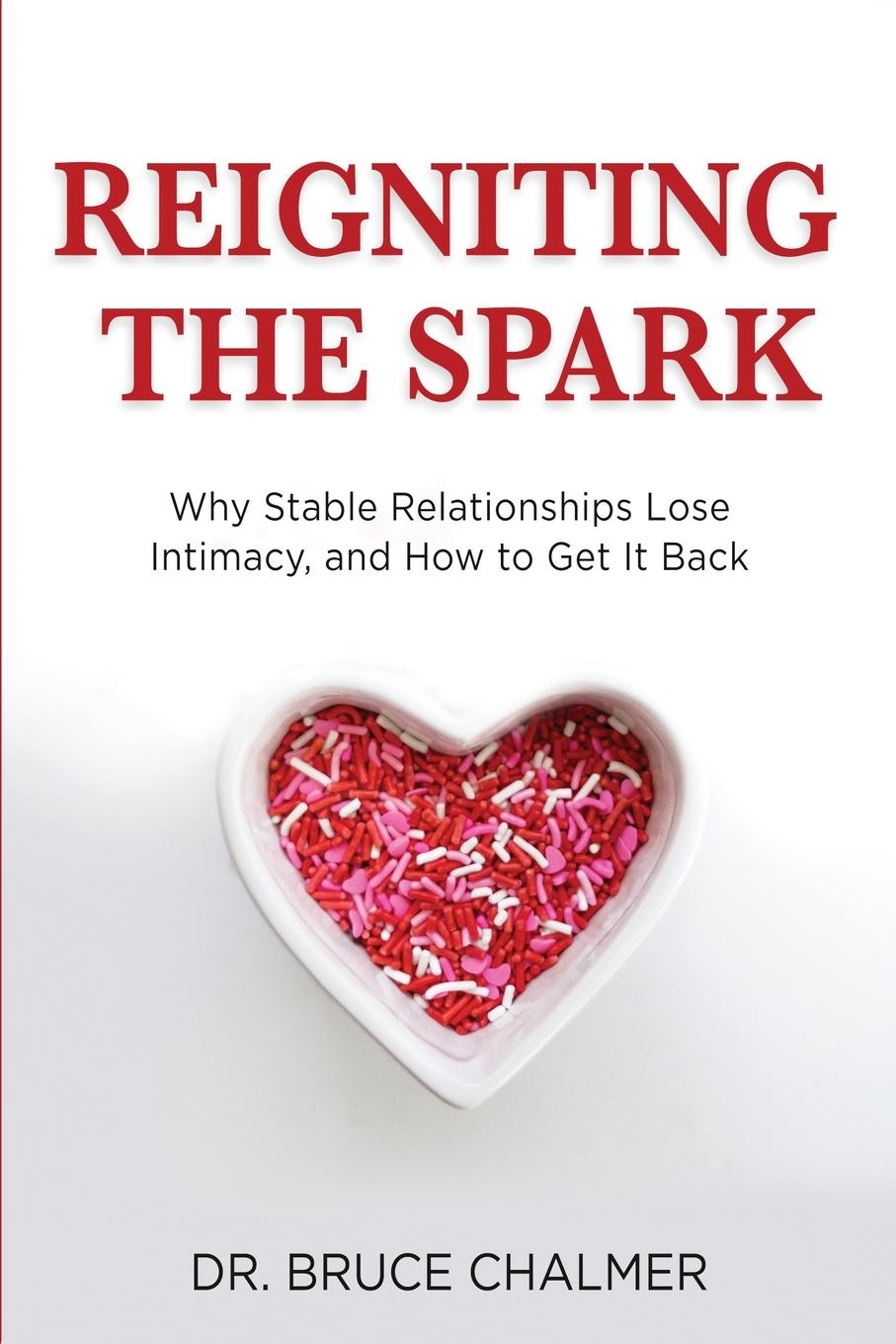 Cover: 9781631610790 | Reigniting The Spark | Bruce Chalmer | Taschenbuch | Englisch | 2020