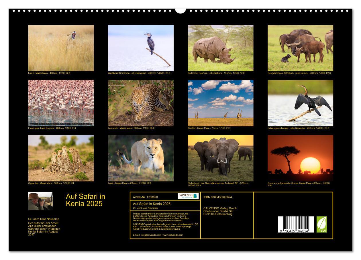 Bild: 9783435342624 | Auf Safari in Kenia 2025 (hochwertiger Premium Wandkalender 2025...