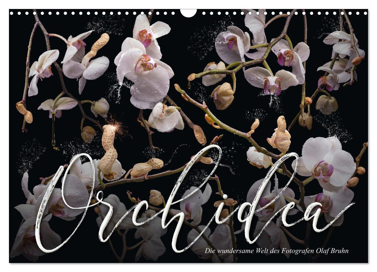 Cover: 9783383852251 | Orchidea (Wandkalender 2025 DIN A3 quer), CALVENDO Monatskalender