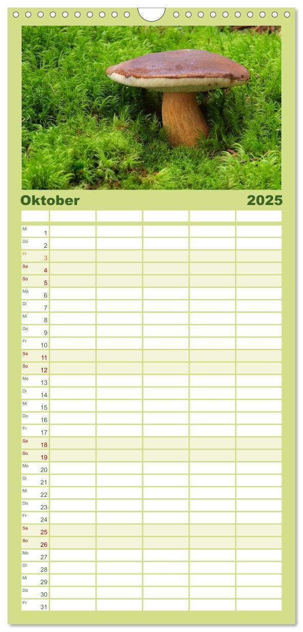 Bild: 9783457113059 | Familienplaner 2025 - Pilzkalender mit 5 Spalten (Wandkalender, 21...