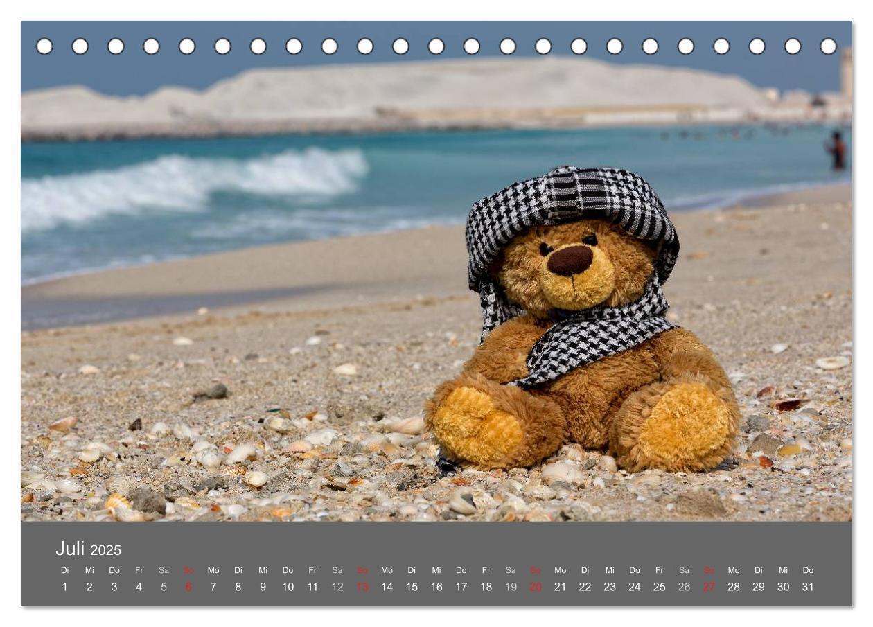 Bild: 9783435502172 | Travelling Teddy 2025 (Tischkalender 2025 DIN A5 quer), CALVENDO...