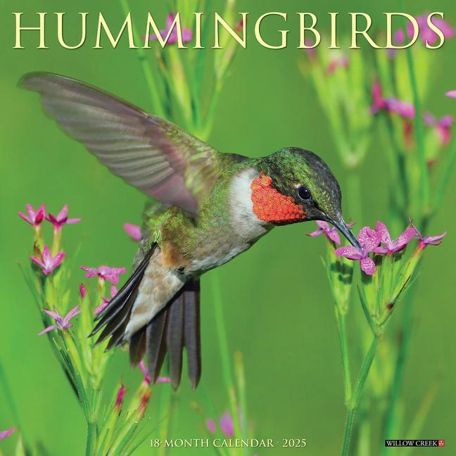 Cover: 9781549243400 | Hummingbirds 2025 12 X 12 Wall Calendar | Willow Creek Press | 2025