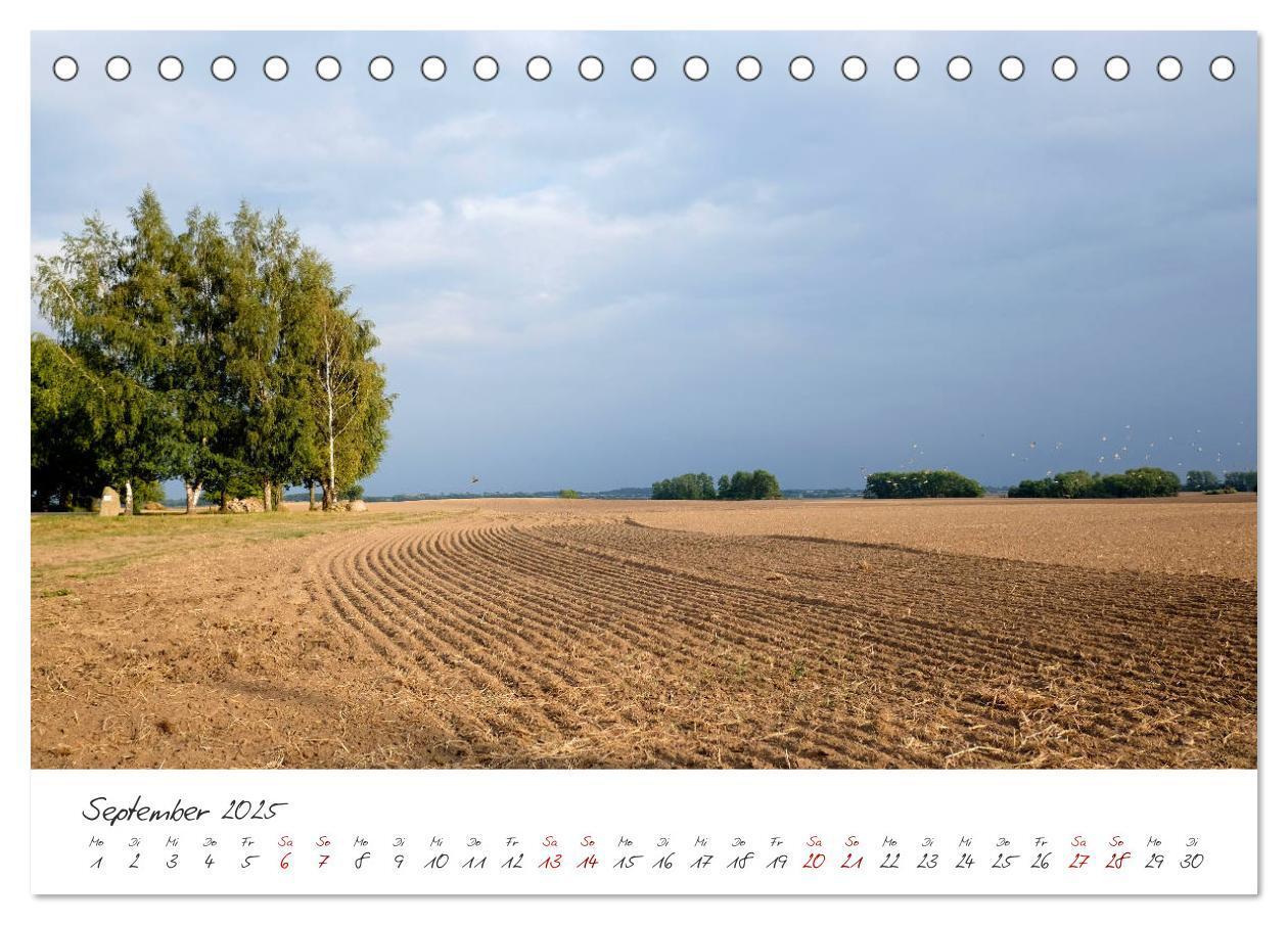 Bild: 9783435416608 | Osteeinsel Poel (Tischkalender 2025 DIN A5 quer), CALVENDO...