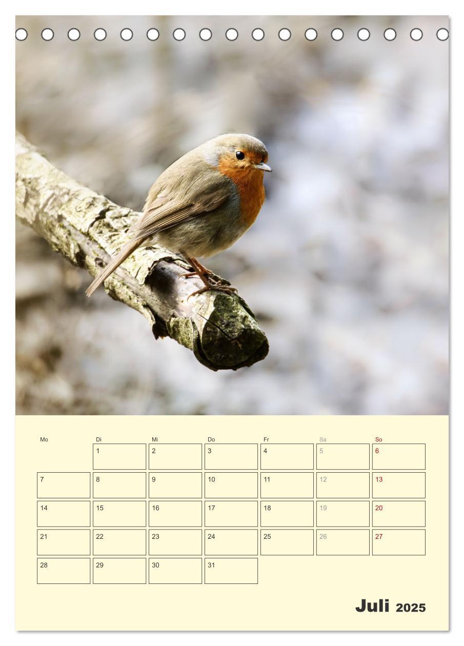 Bild: 9783435910656 | Vogelwelt an der Sieg (Tischkalender 2025 DIN A5 hoch), CALVENDO...