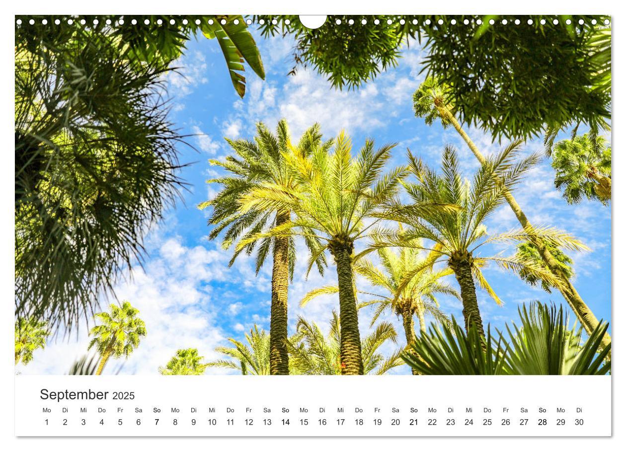 Bild: 9783435151844 | Das farbenfrohe Marokko (Wandkalender 2025 DIN A3 quer), CALVENDO...