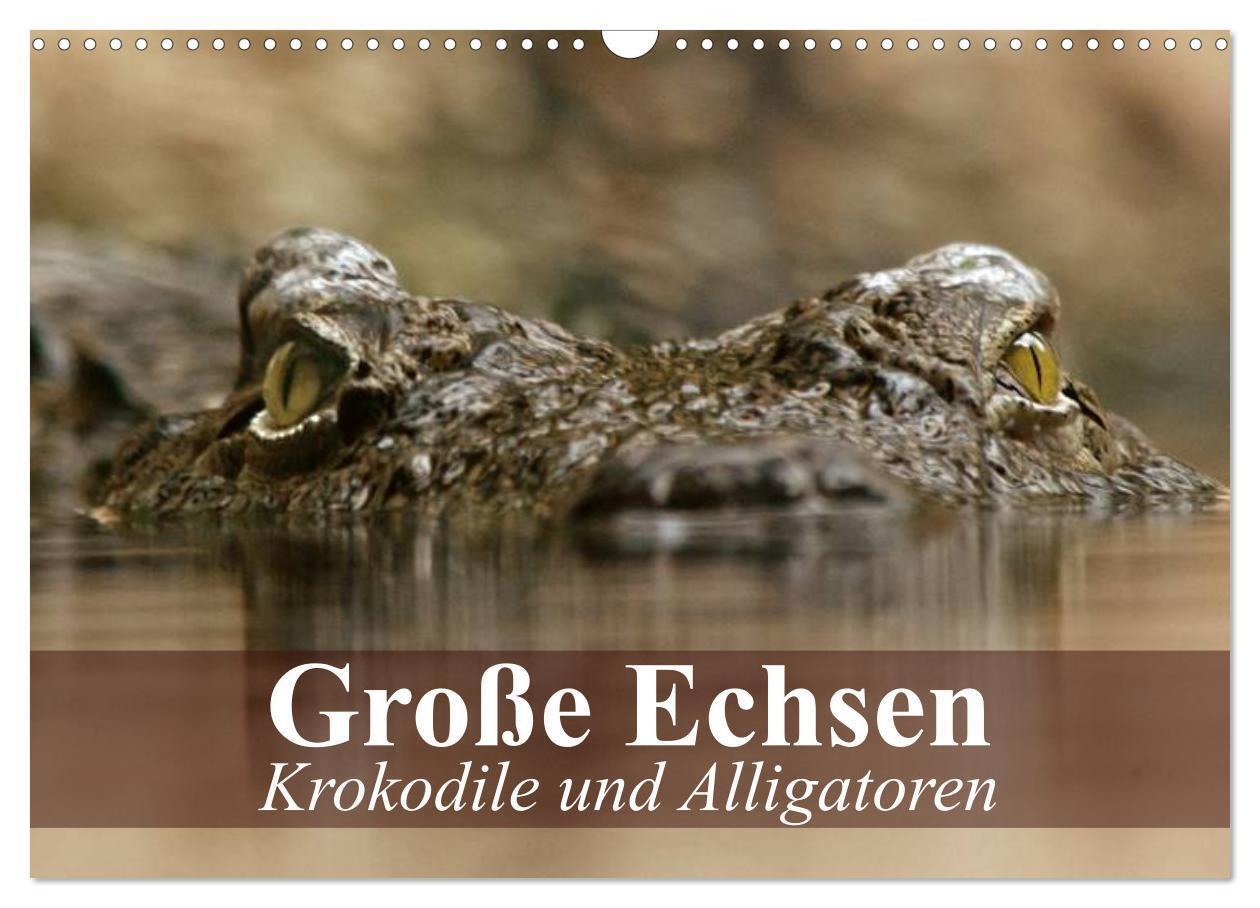 Cover: 9783435600878 | Große Echsen. Krokodile und Alligatoren (Wandkalender 2025 DIN A3...