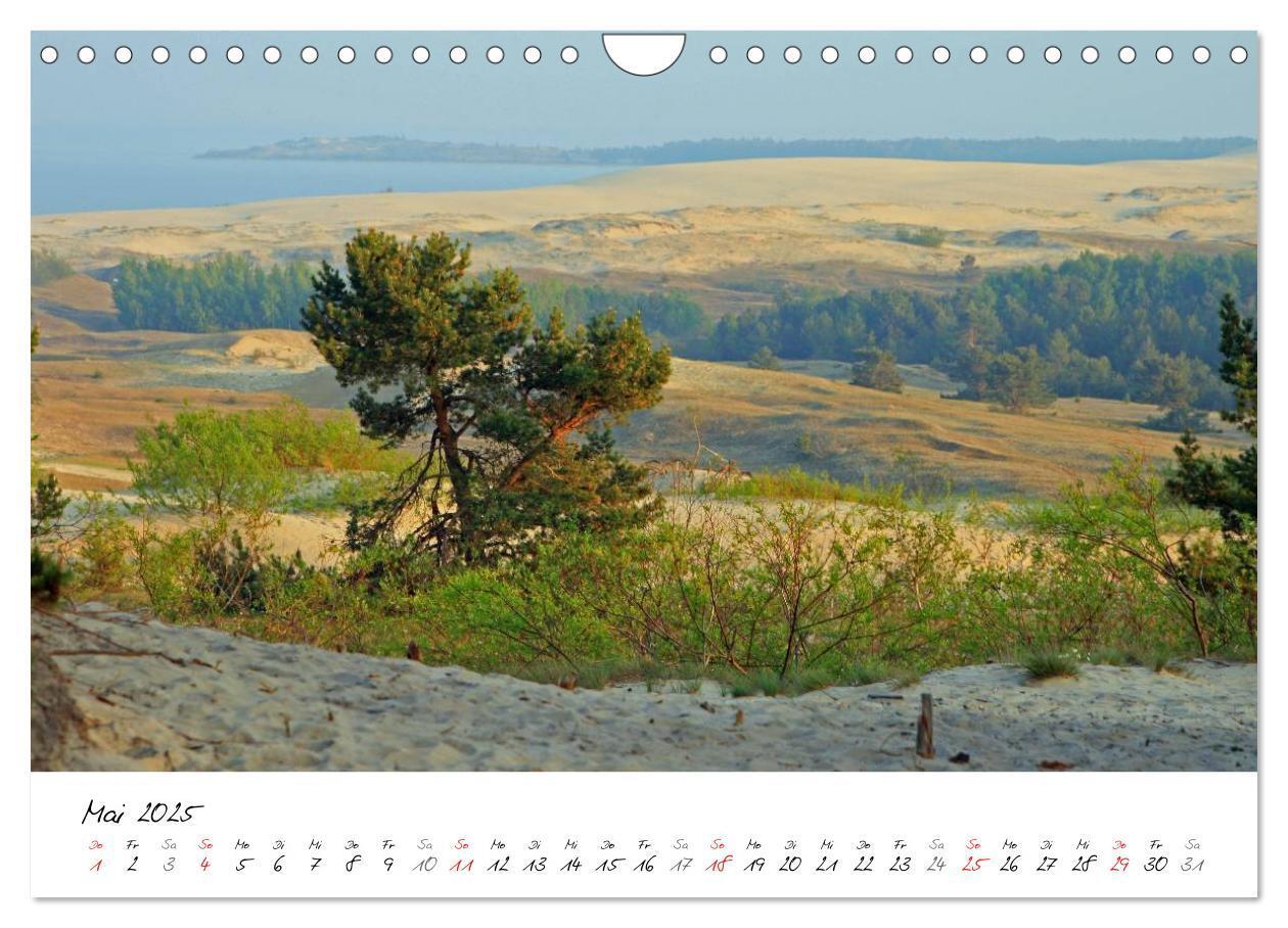 Bild: 9783435643332 | Litauen und Lettland (Wandkalender 2025 DIN A4 quer), CALVENDO...