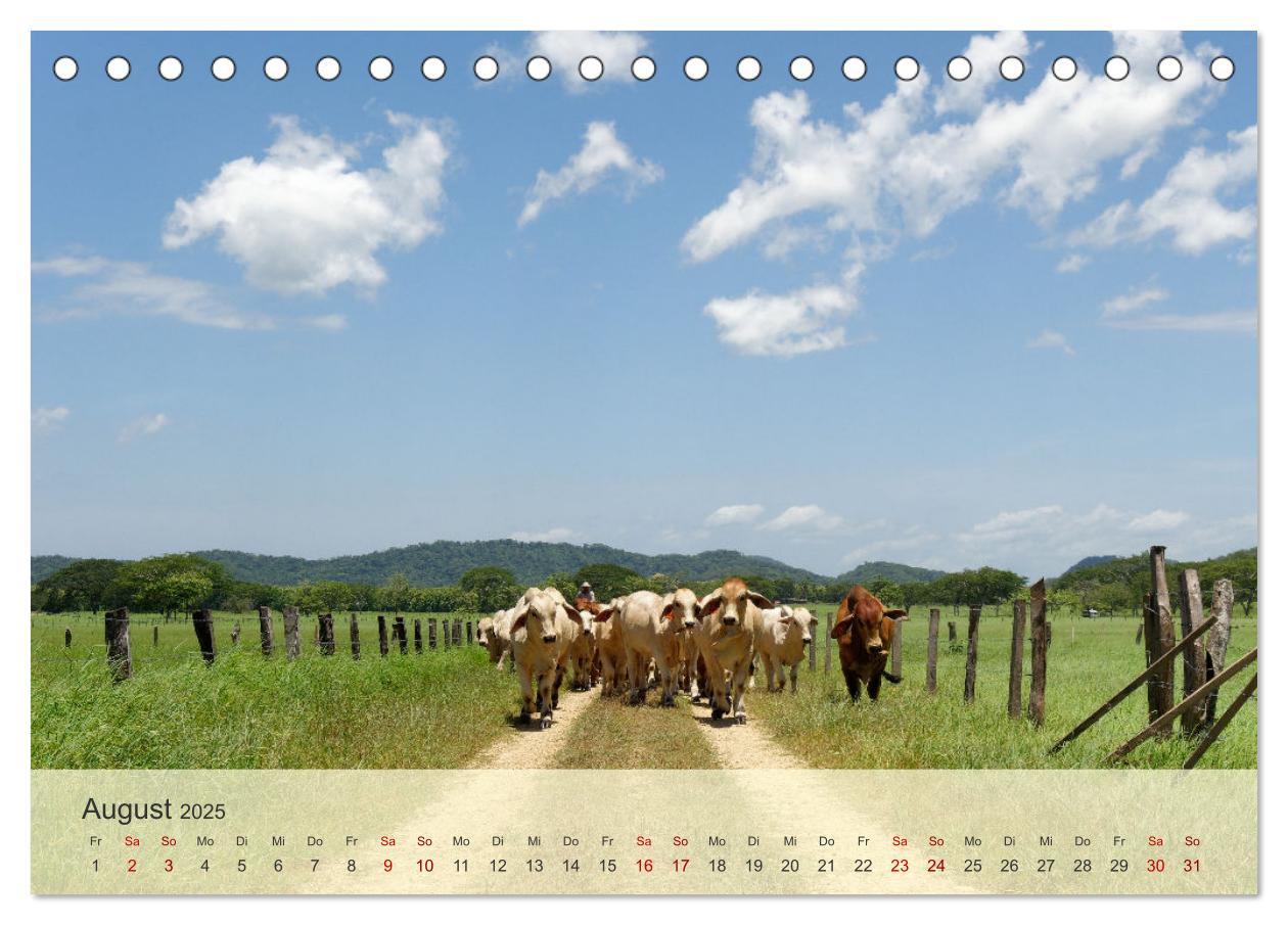 Bild: 9783383842764 | Bekanntes und Unbekanntes Costa Rica (Tischkalender 2025 DIN A5...