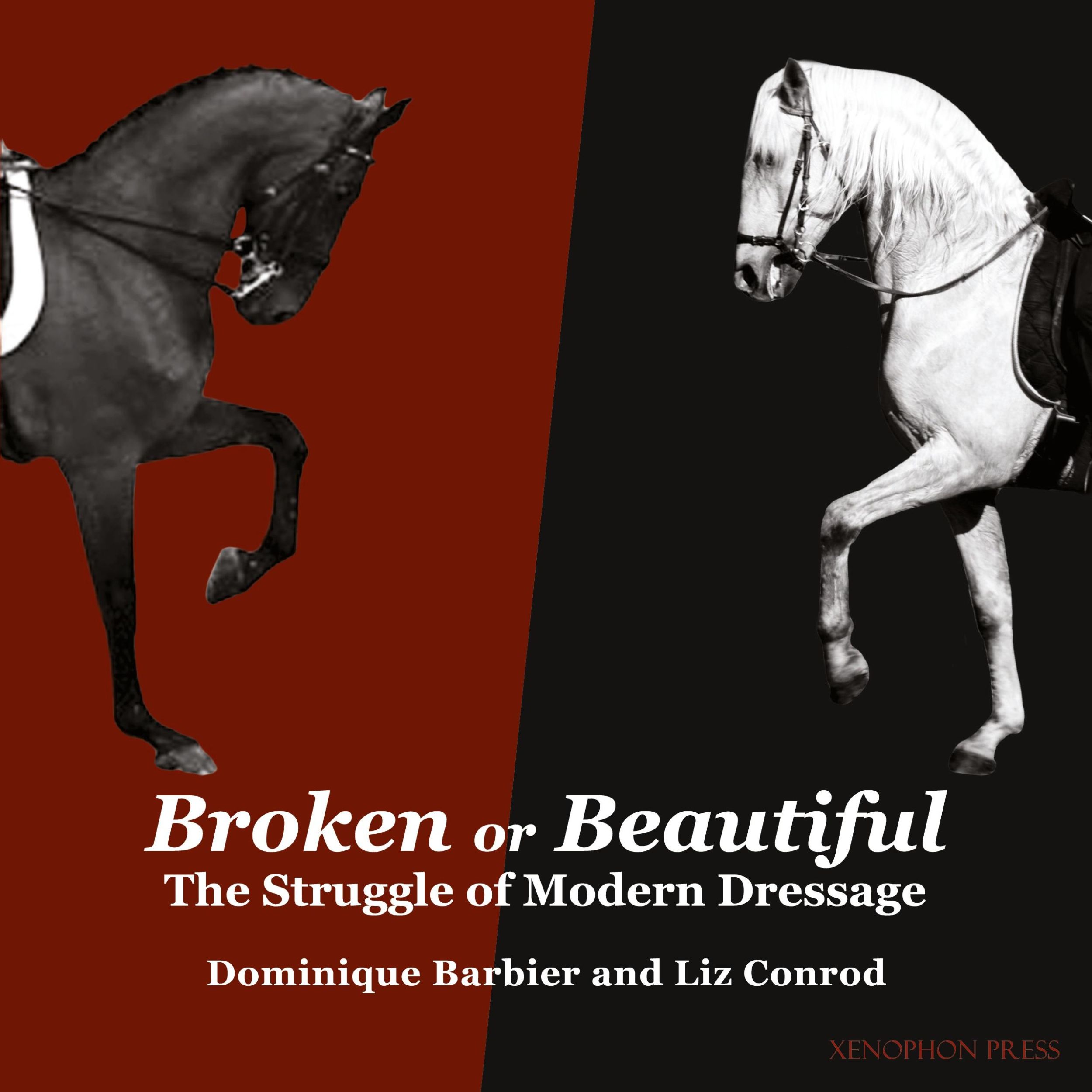 Cover: 9781948717281 | Broken or Beautiful | Dominique Barbier (u. a.) | Taschenbuch | 2021