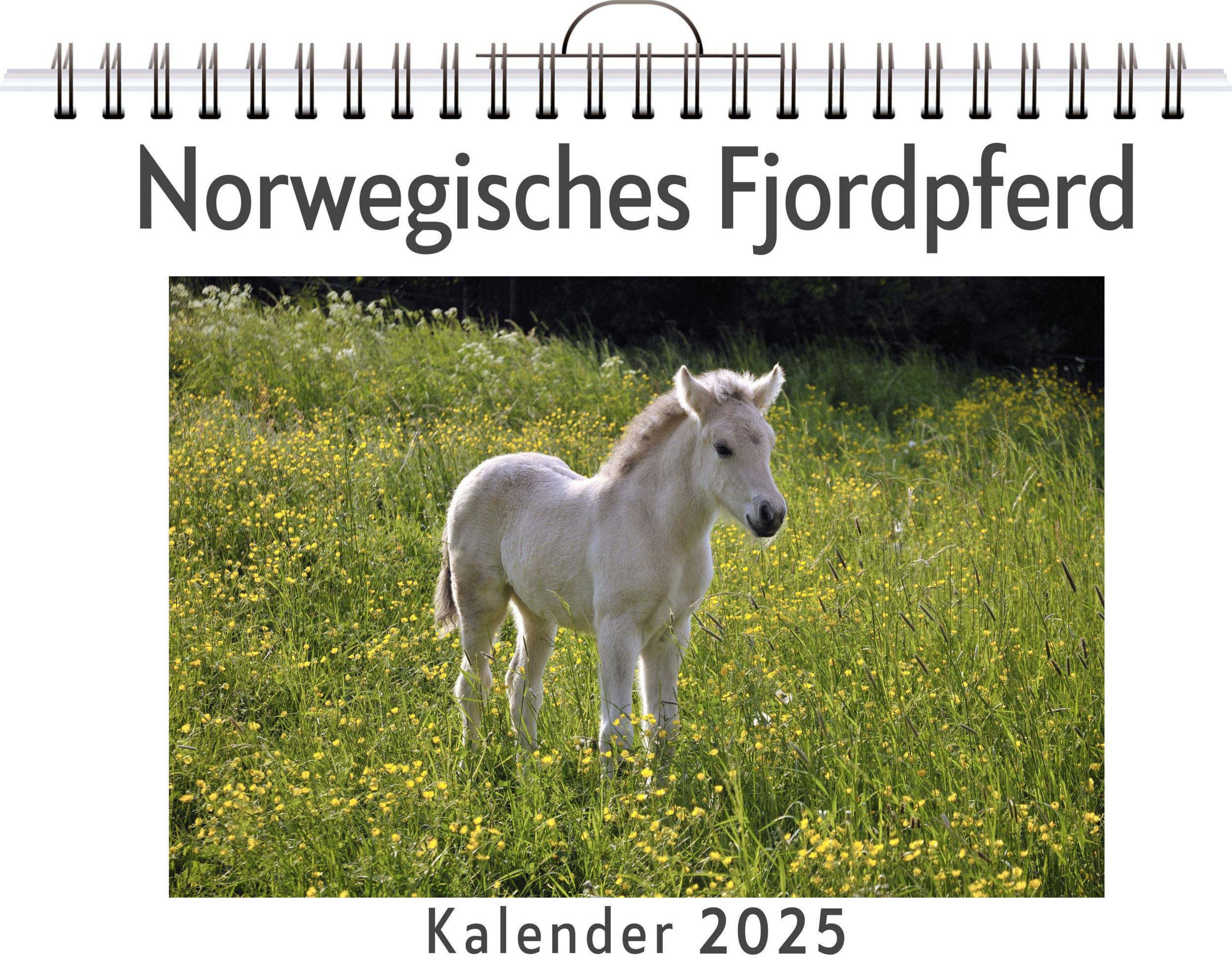 Cover: 9783759132161 | Norwegisches Fjordpferd | Charlotte Herrmann | Kalender | Kalender