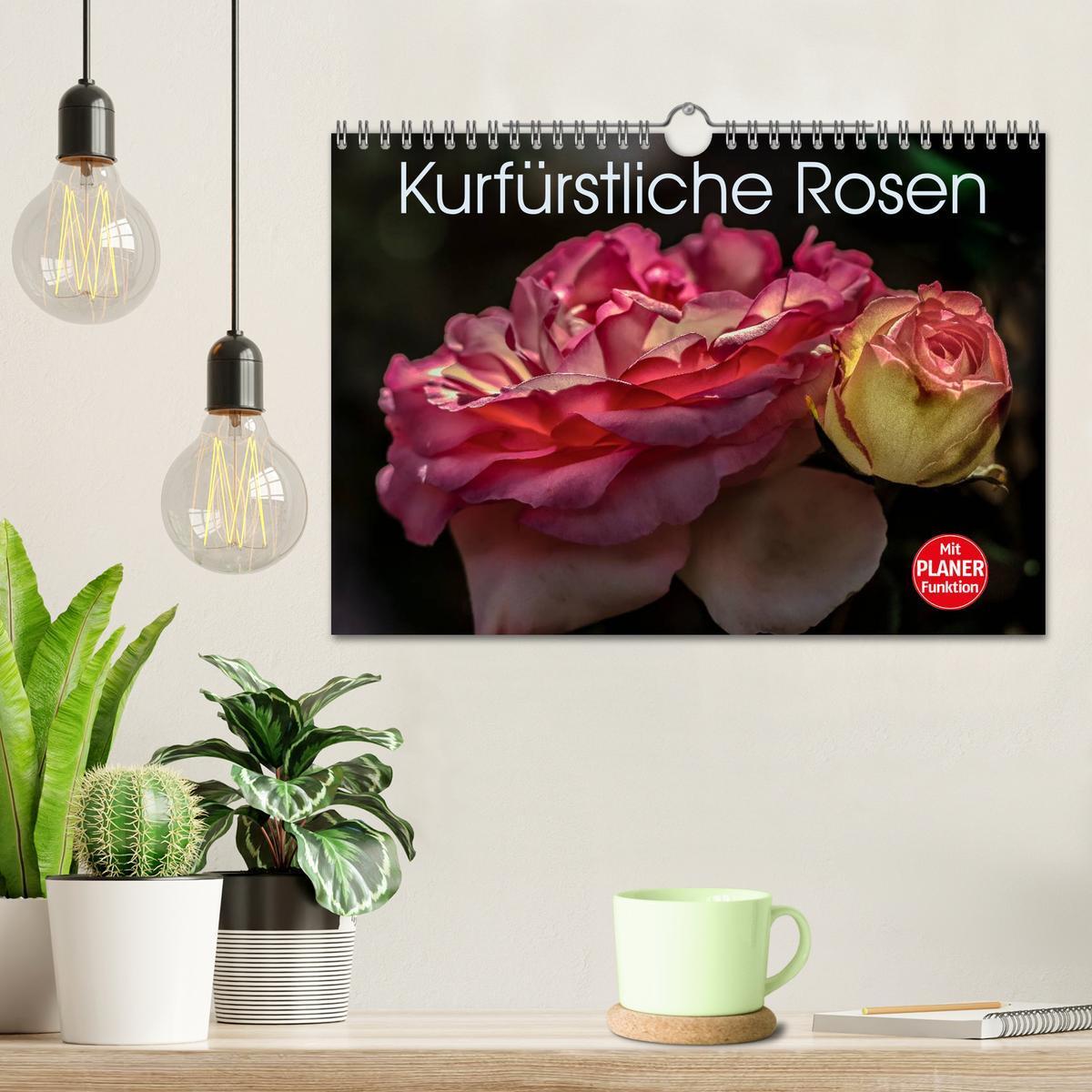 Bild: 9783435578344 | Kurfürstliche Rosen Eltville am Rhein (Wandkalender 2025 DIN A4...