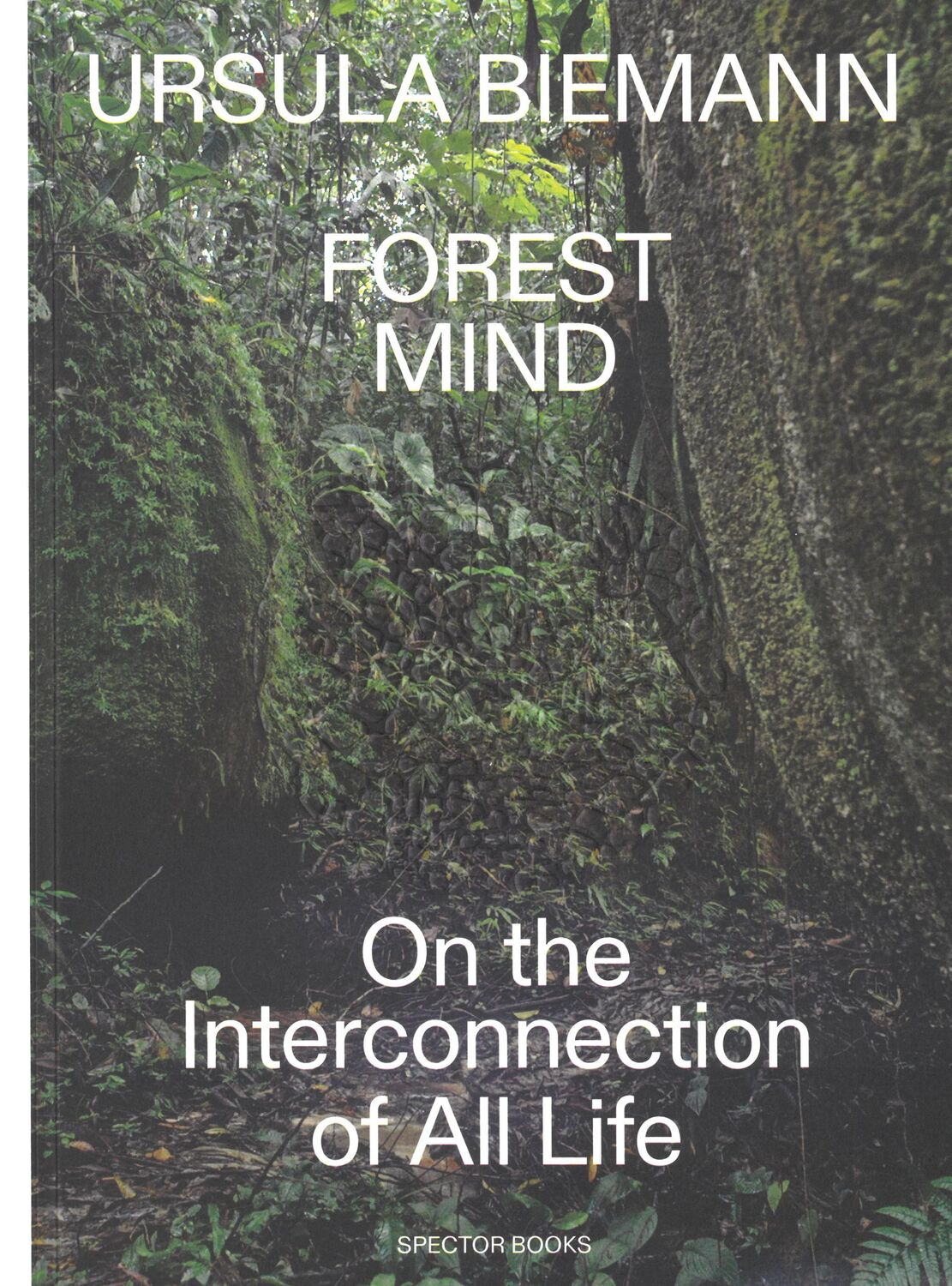 Cover: 9783959056816 | Forest Mind | On the Interconnection of All Life | Ursula Biemann