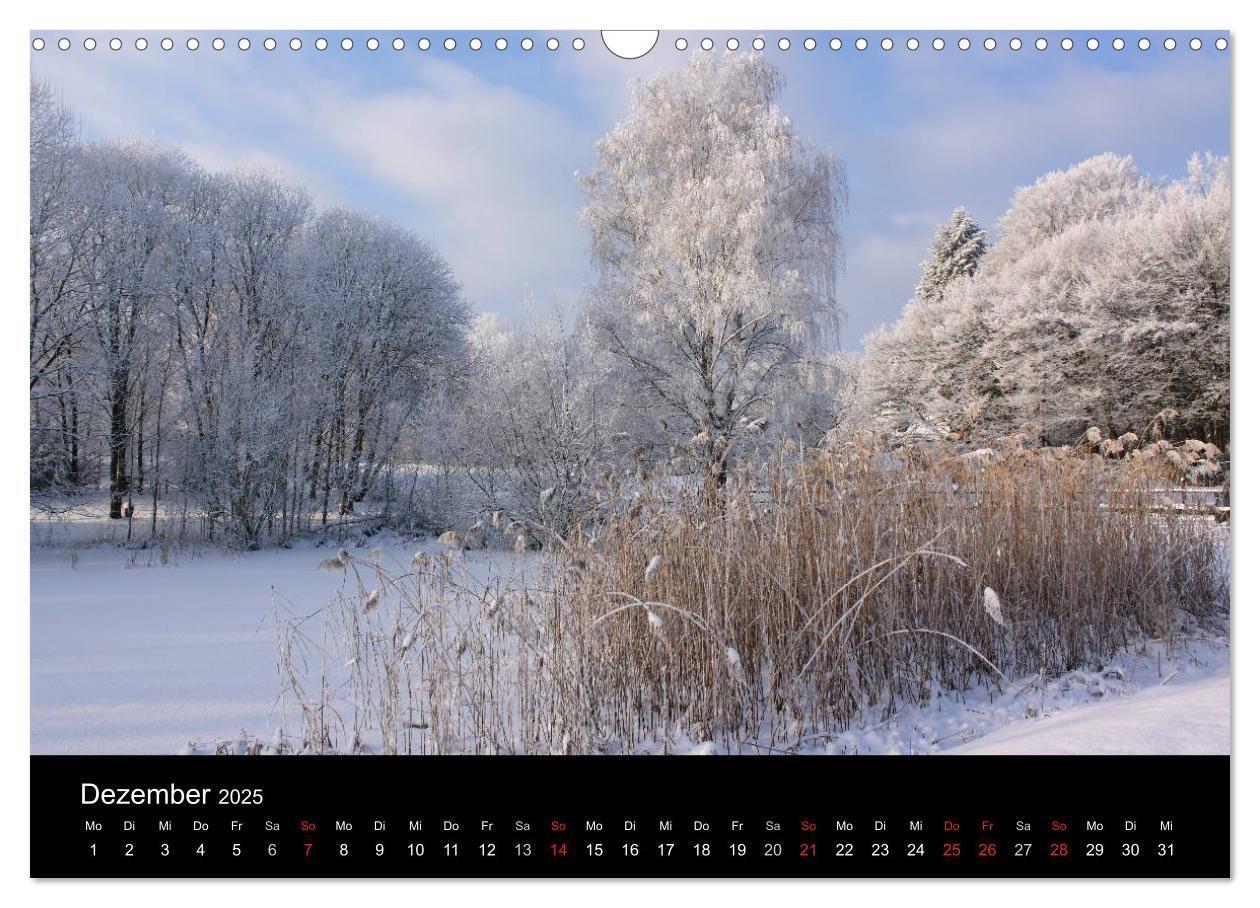 Bild: 9783435801763 | Norddeutsche Impressionen (Wandkalender 2025 DIN A3 quer), CALVENDO...