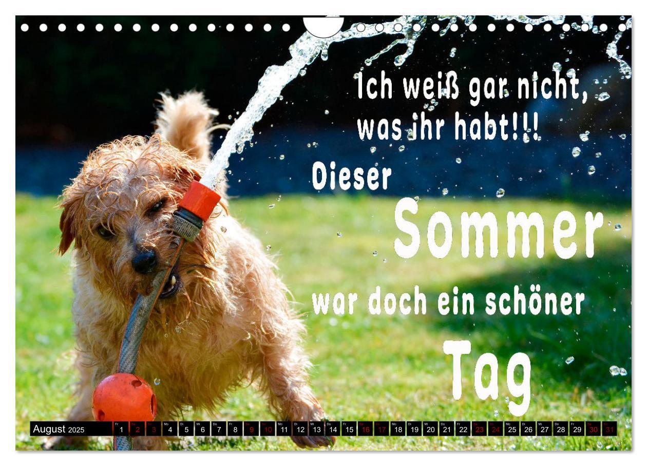 Bild: 9783435088669 | Spruchreif - Gute-Laune-Kalender (Wandkalender 2025 DIN A4 quer),...