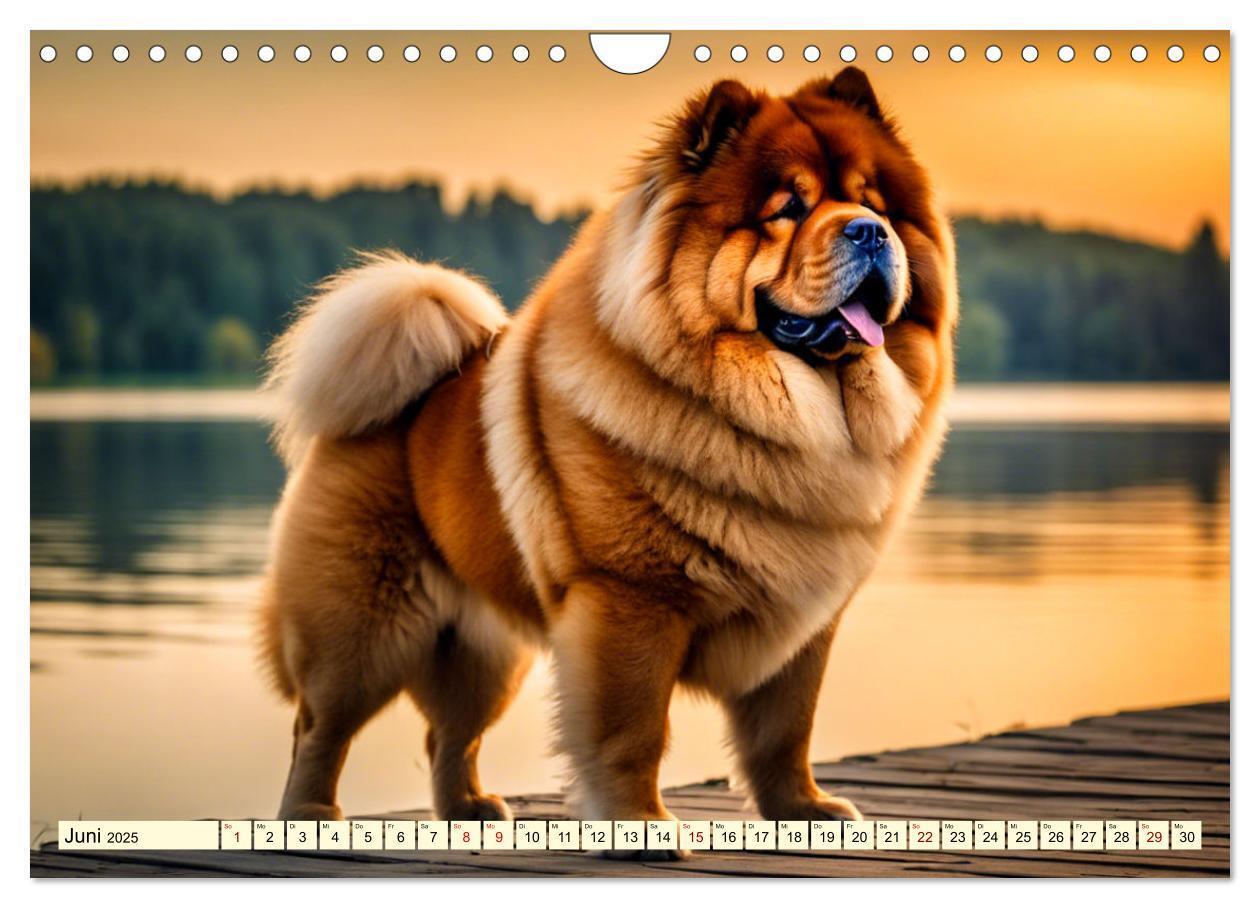 Bild: 9783457015513 | Chow Chow - der Löwenkopfhund (Wandkalender 2025 DIN A4 quer),...