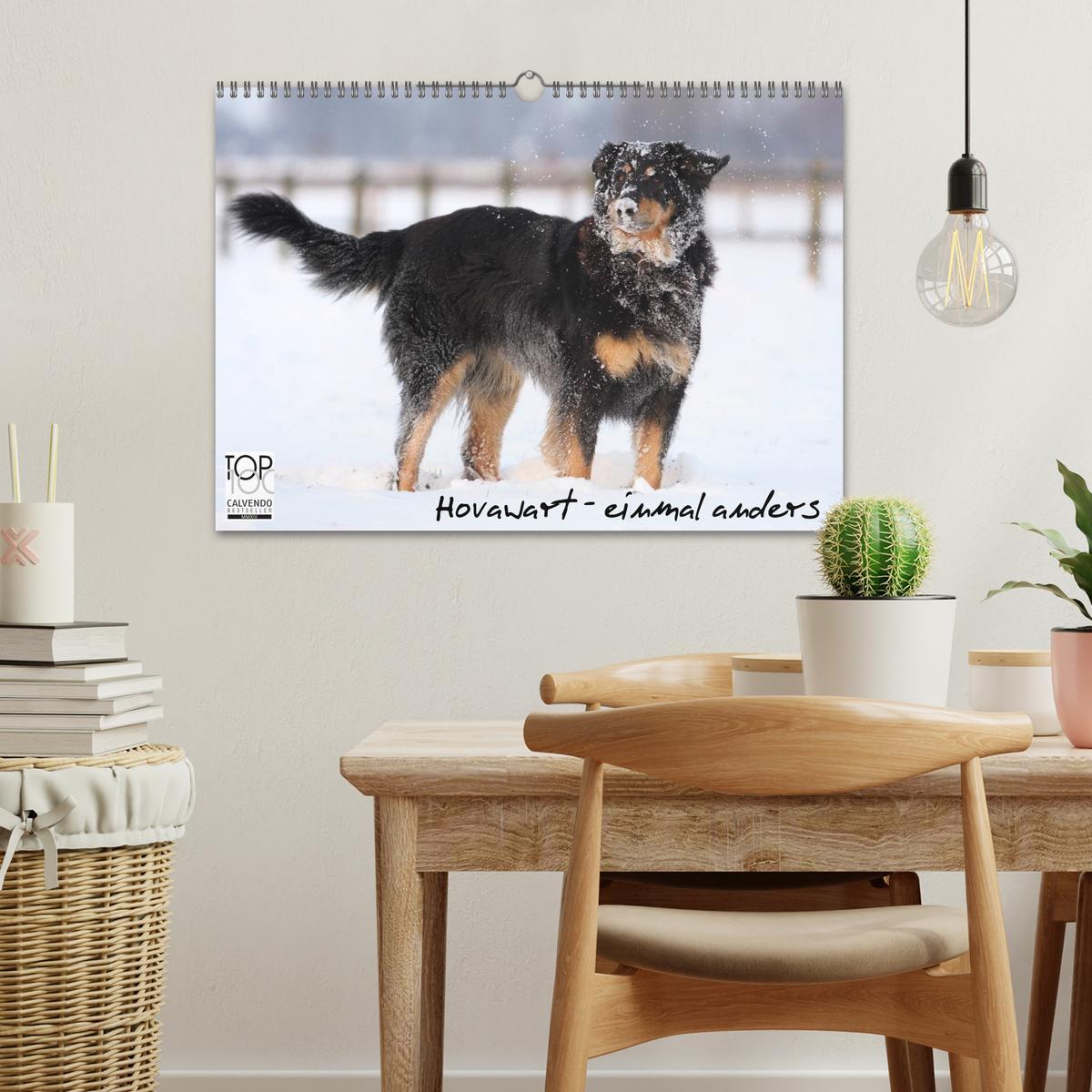 Bild: 9783435792573 | Hovawarte - einmal anders (Wandkalender 2025 DIN A3 quer), CALVENDO...