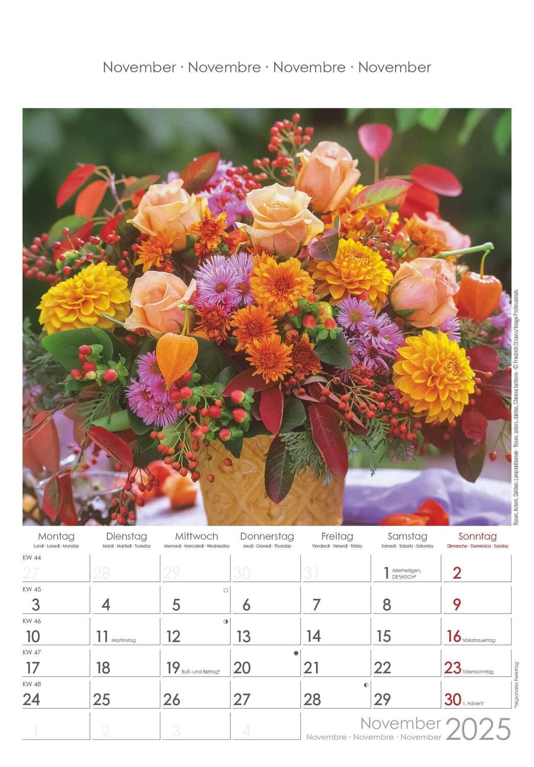 Bild: 4251732341008 | Blumen 2025 - Bildkalender 23,7x34 cm - Kalender mit Platz für...