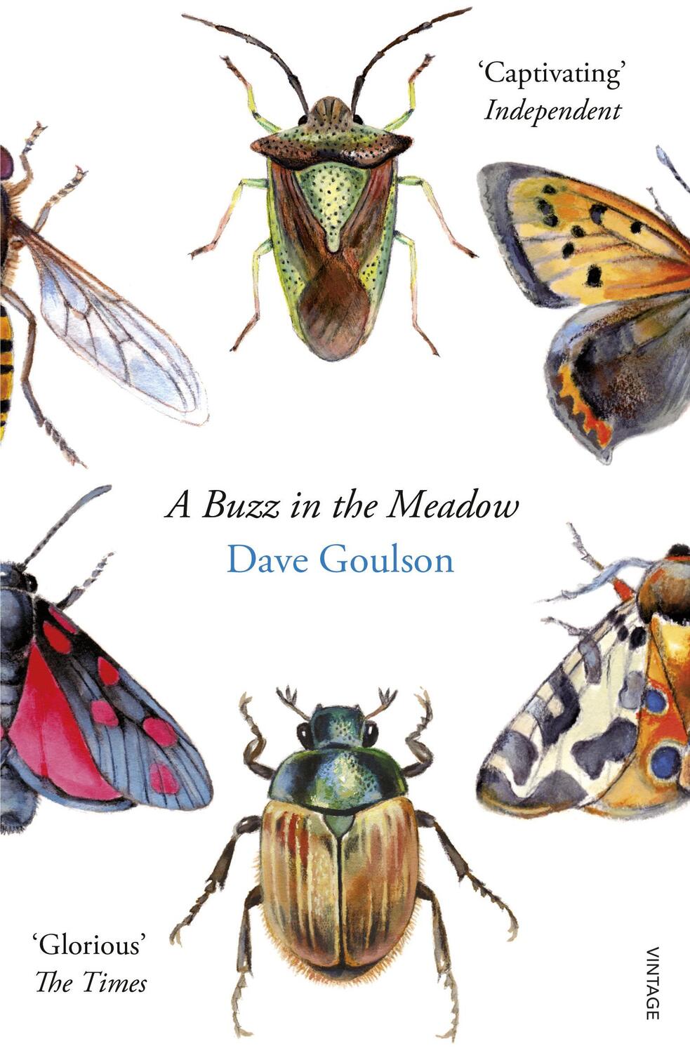 Cover: 9780099597698 | A Buzz in the Meadow | Dave Goulson | Taschenbuch | 266 S. | Englisch