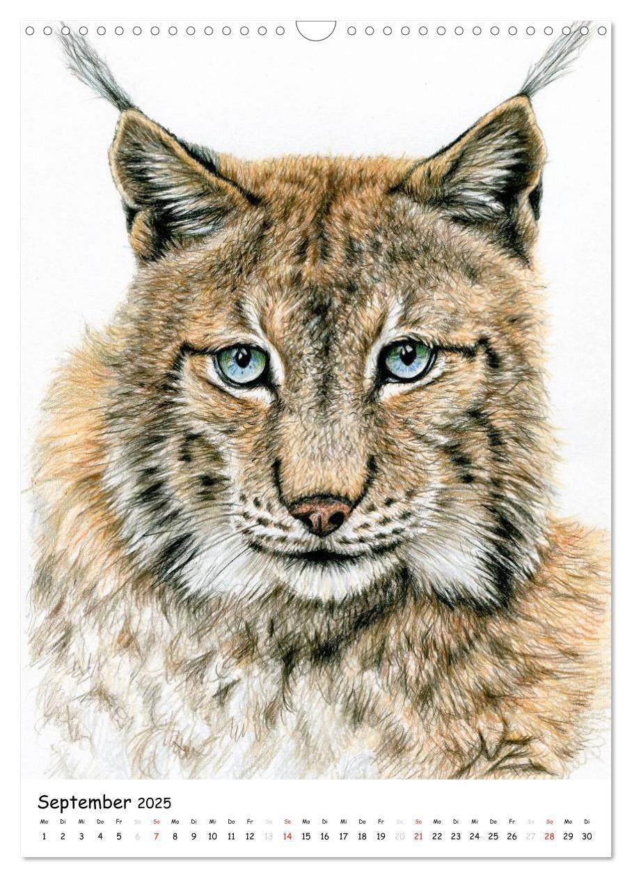 Bild: 9783457077245 | Wildlife Portraits (Wandkalender 2025 DIN A3 hoch), CALVENDO...