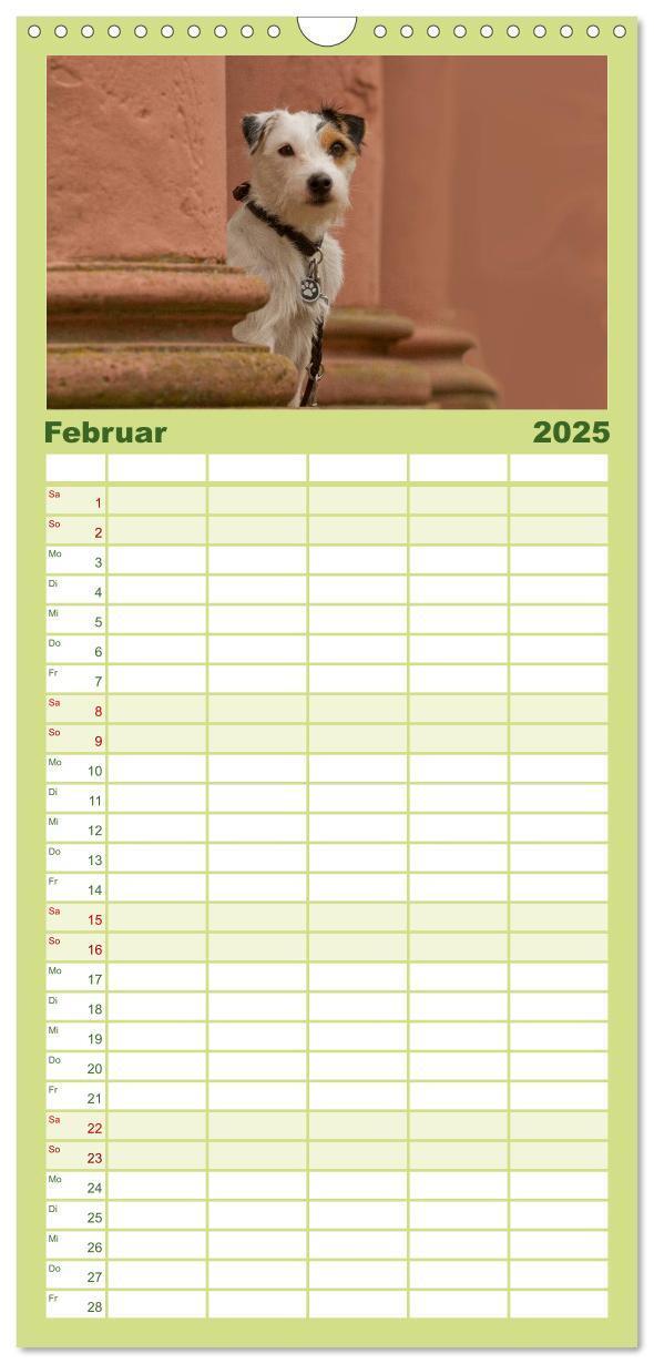 Bild: 9783457120217 | Familienplaner 2025 - Faszination Hund mit 5 Spalten (Wandkalender,...