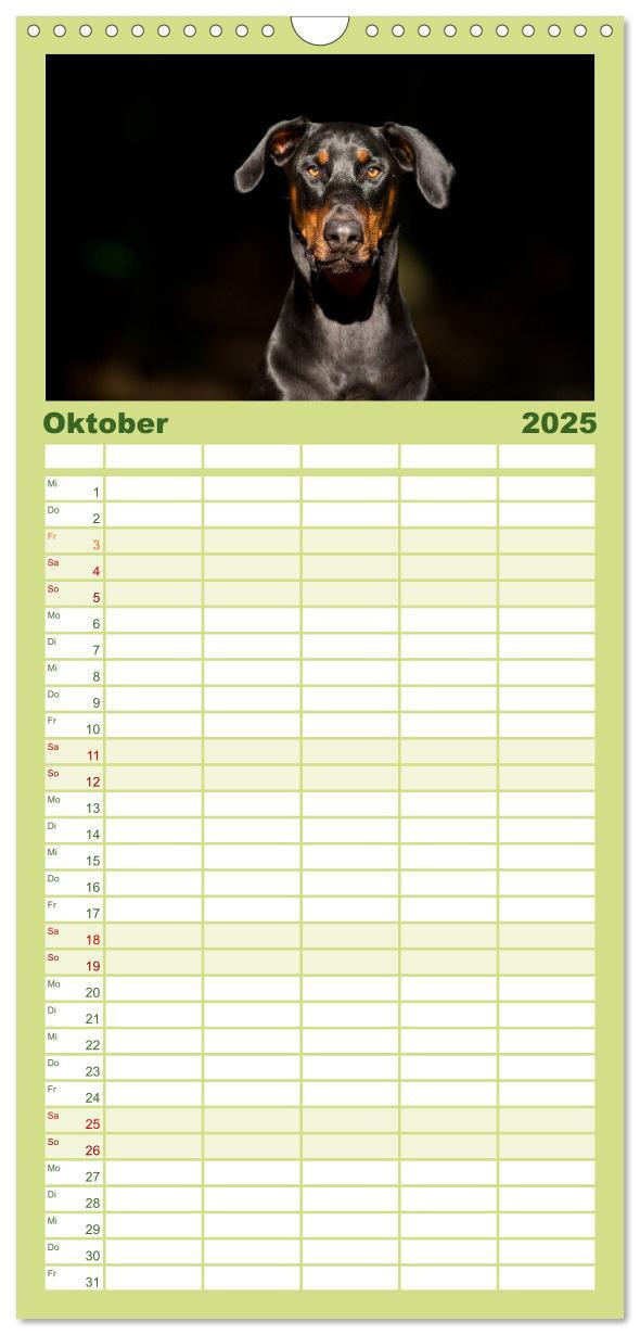 Bild: 9783457112137 | Familienplaner 2025 - Dobermann mit 5 Spalten (Wandkalender, 21 x...