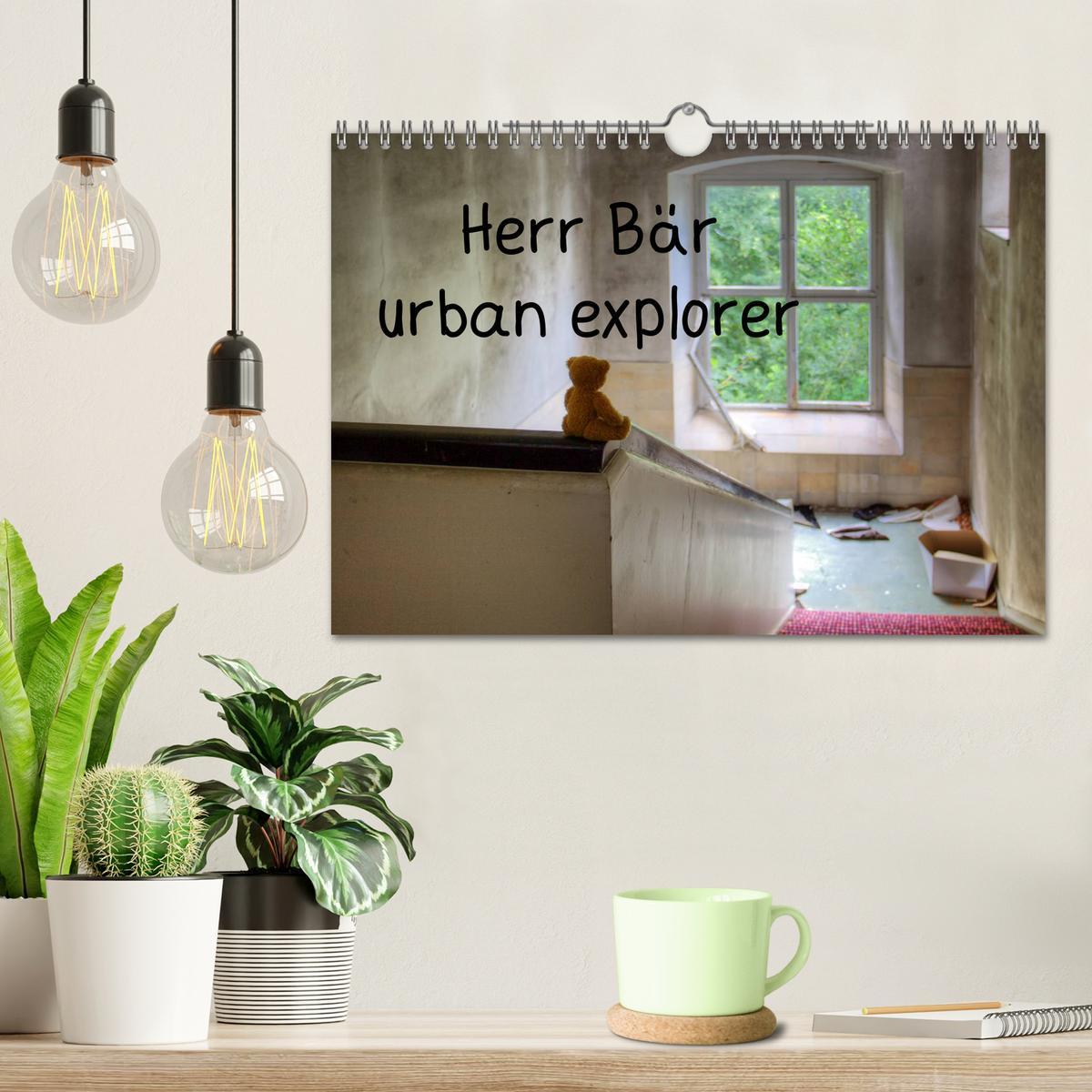 Bild: 9783435460403 | Herr Bär urban explorer (Wandkalender 2025 DIN A4 quer), CALVENDO...