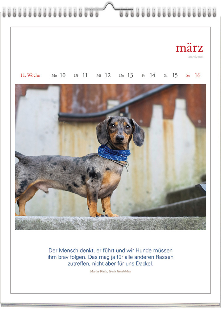 Bild: 9783747205648 | Literarischer Hunde - Kalender 2025 | Wochenkalender | Kalender | 2025