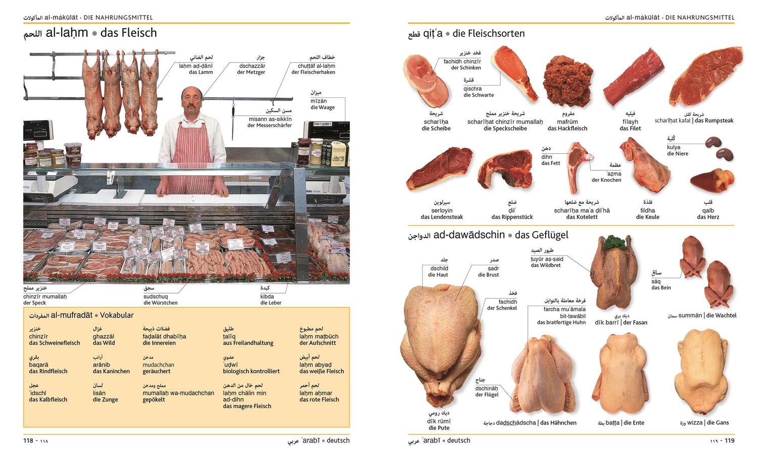 Bild: 9783831029624 | Visuelles Wörterbuch Arabisch Deutsch | Taschenbuch | 392 S. | Deutsch