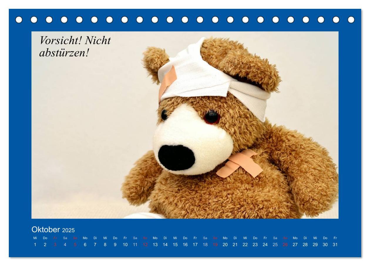 Bild: 9783435593972 | Sommer im Teddy-Land. Bär und Freunde (Tischkalender 2025 DIN A5...