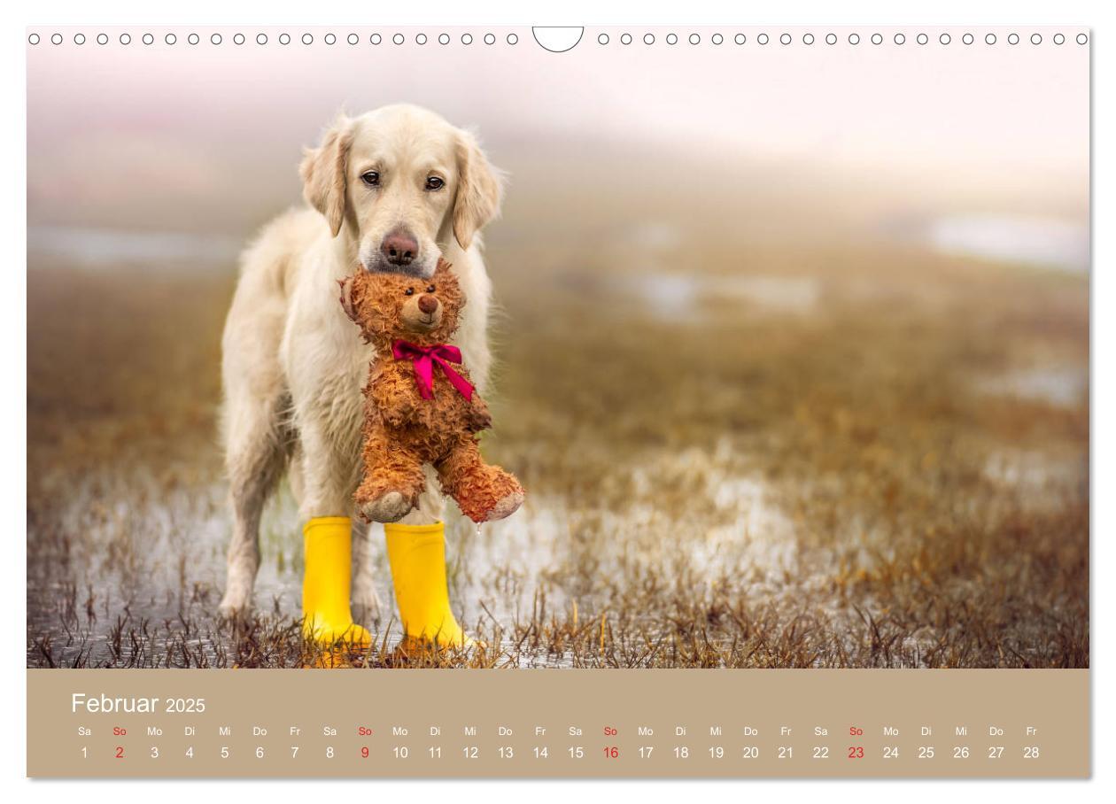 Bild: 9783435153480 | Grace und Cuba - Das verrückte Leben der Golden Girls (Wandkalender...