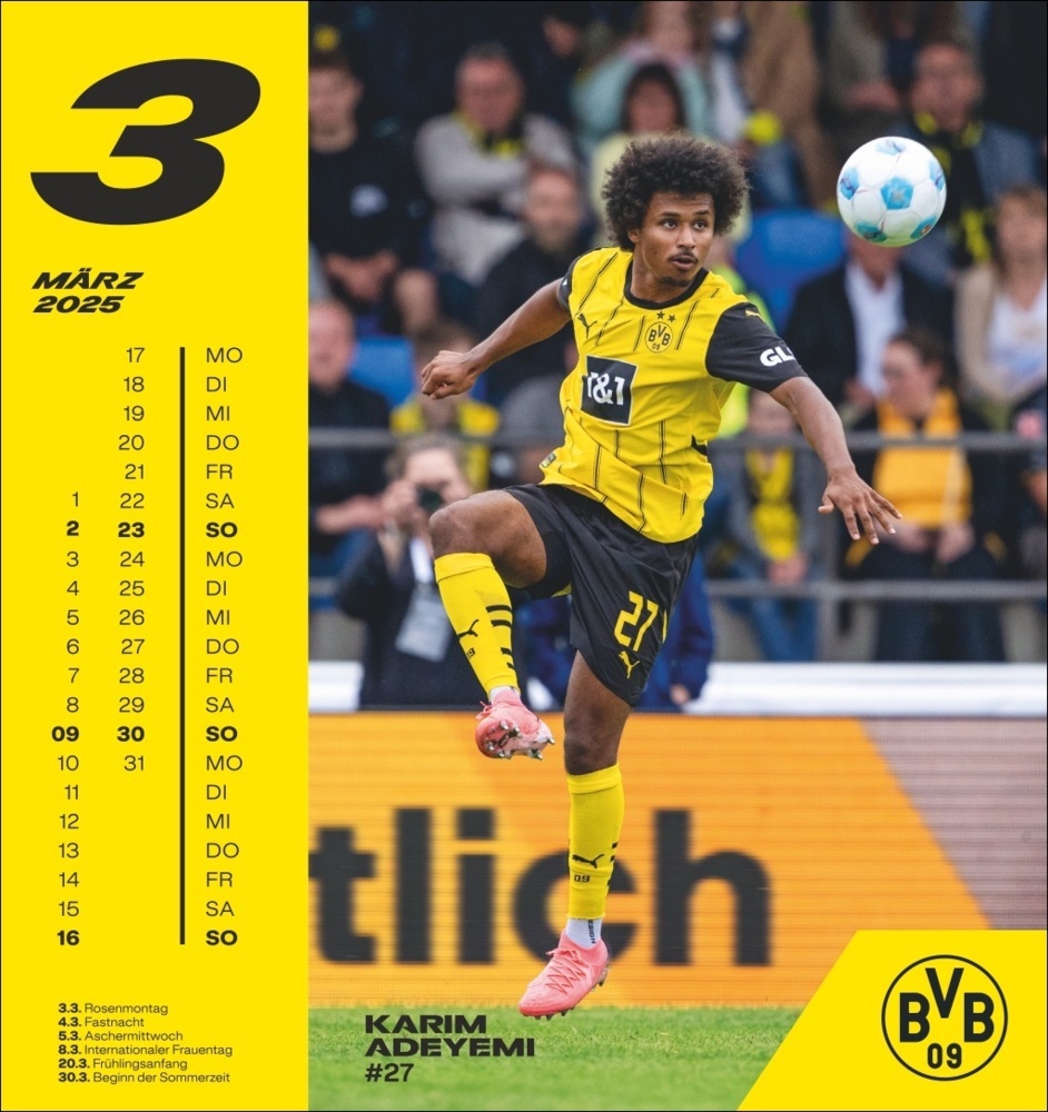 Bild: 9783756405473 | BVB Postkartenkalender 2025 | Kalender | Spiralbindung | 13 S. | 2025