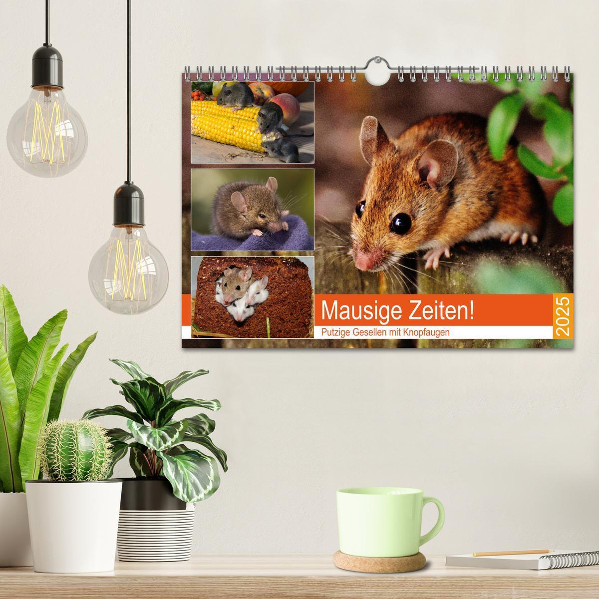 Bild: 9783435338900 | Mausige Zeiten! Putzige Gesellen mit Knopfaugen (Wandkalender 2025...