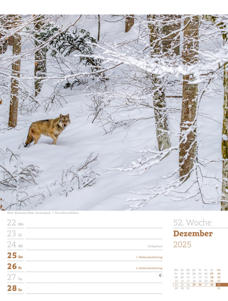 Bild: 9783838425979 | Unser Wald - Wochenplaner Kalender 2025 | Ackermann Kunstverlag | 2025