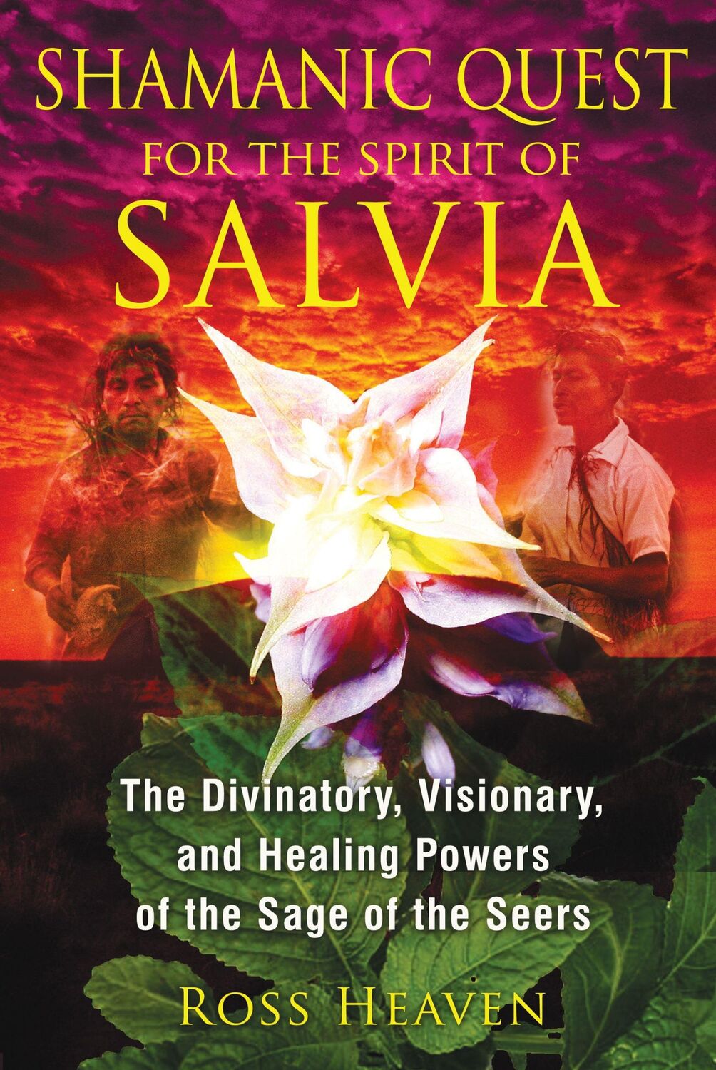 Cover: 9781620550007 | Shamanic Quest for the Spirit of Salvia | Ross Heaven | Taschenbuch