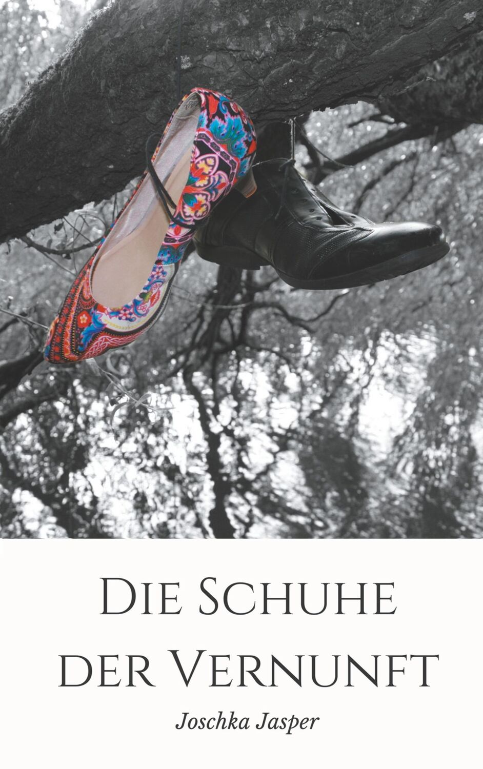 Cover: 9783746063492 | Die Schuhe der Vernunft | Joschka Jasper | Taschenbuch | Paperback